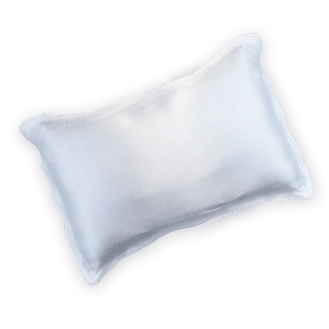 NEW Pump Mulberry Silk Pillow Case White *includes box*